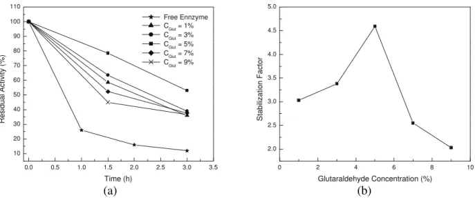 Figure 4: Alkaline pH stability of PGA (at pH 10): a) residual activity over time for free and immobilized  enzyme on chitosan treated with different glutaraldehyde concentrations (C glut ) at 20°C and pH 10 and b) 