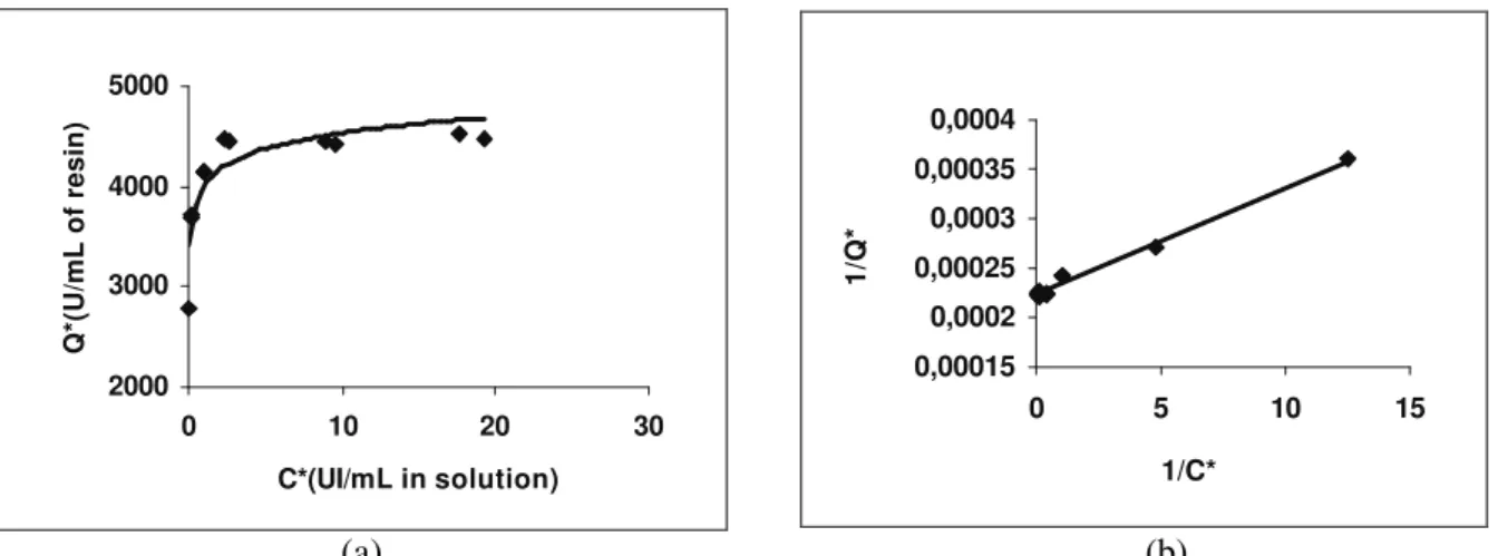 Figure 4: (a) Plot of experimental data on inulinase adsorption and   (b) Linearization of Langmui model to determine Q m  and kd