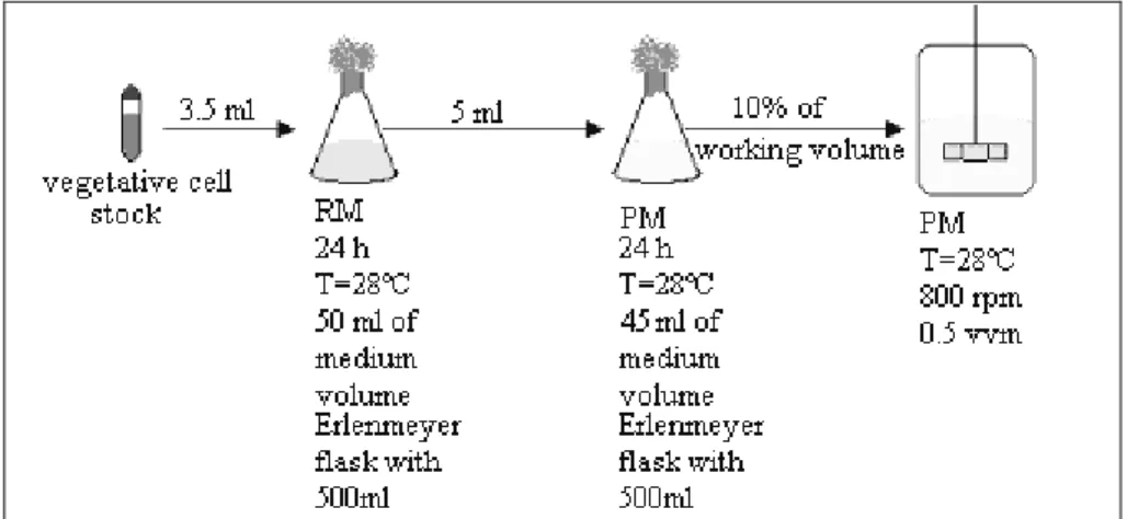 Figure 1: Schematic flowsheet of the experimental procedure 