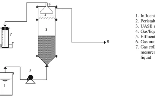 Figure 1: Schematic diagram of the laboratory UASB reaction system. 