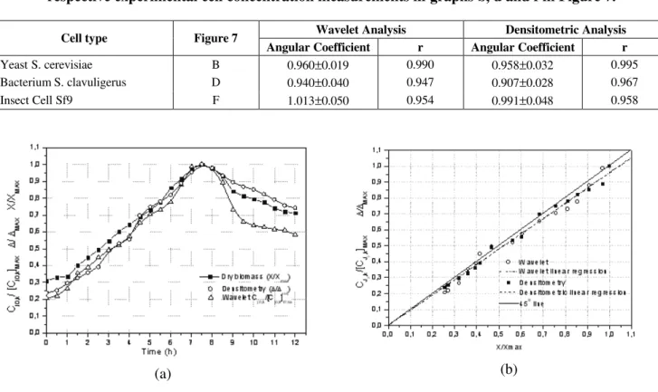 Table 1: Results of the comparation between the AWC and densitometric measurements and the  respective experimental cell concentration measurements in graphs b, d and f in Figure 7