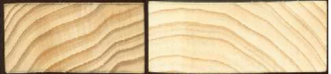 Figure 1: Photograph of cross section of two boards, the left side board showing undesirable colour  development and the right side board showing desirable colour