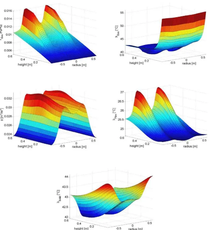 Figure 2: Calculated stationary spatial temperature and humidity distributions in a water sprayed fluidized bed 