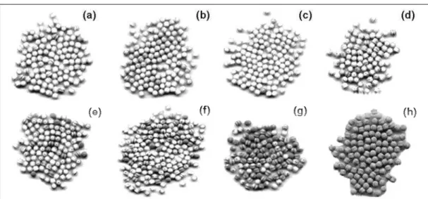 Figure 7:  Teflon beads after the drying operation as a function of atomizer position and W s /W max  for T gi  = 150  o C: (a) to  (d) top spray, W s /W max  = 15, 45, 75 and 100%; (e) to (h) bottom spray, W s /W max  = 15, 45, 75 and 100%