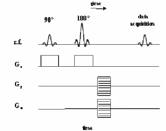 Figure 3: Chemical shift imaging pulse sequence. 