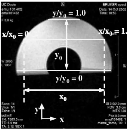 Figure 9: Spin-echo image of a fully creamed emulsion with the definition of the x and y coordinates
