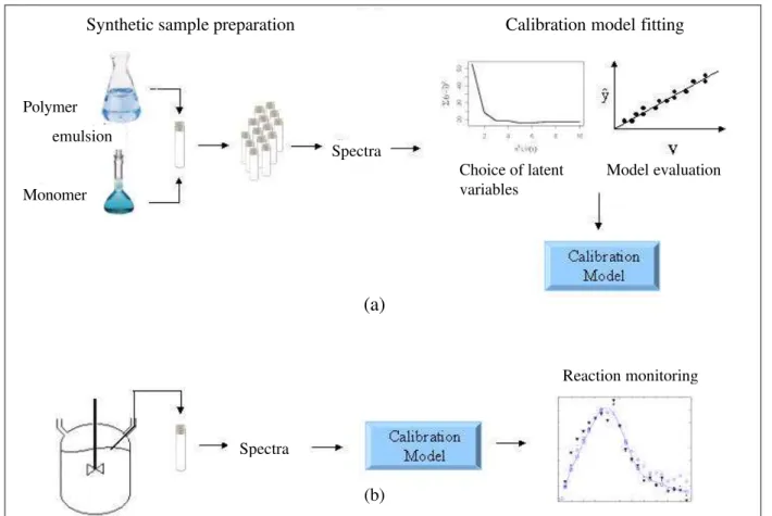 Figure 4: Schematic description of (a) calibration step and (b) reaction monitoring by the corresponding model