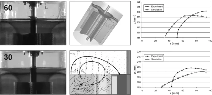 Figure  11: Experimentally observed and numerically predicted vortex above the impeller