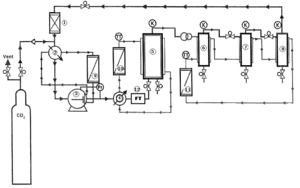 Figure 1: Scheme of the SFE-500 pilot plant for supercritical fluid extraction. 