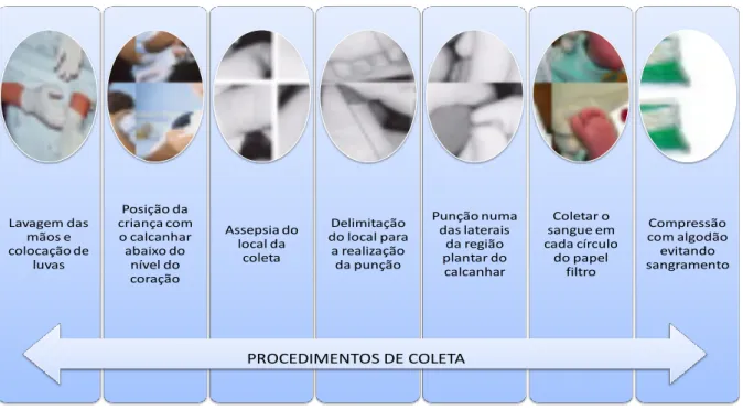 Figura  02  –  Seqüência  de  procedimentos  para  a  realização  da  coleta  do  Teste  do  Pezinho,  realizadano Ambulatório da Criança em Cáceres–MT