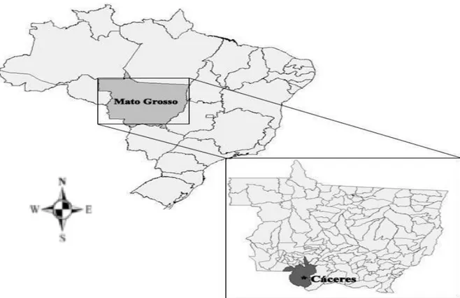 Figura  06  –  Localização  geográfica  do  município  de  Cáceres  – MT onde se encontra  implantado  o  Posto  de  Coleta  para  Triagem  Neonatal  realizado  no  Ambulatório  da  Criança
