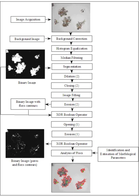 Figure 1: Schematic representation of the image analysis procedure 