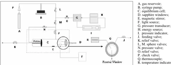 Figure 1: Schematic Diagram of the Experimental Apparatus.  