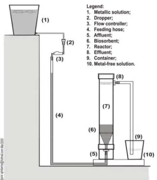 Figure 1: Schematic representation of one of the reactors used for biosorption. 