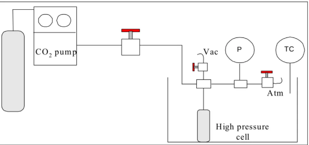 Figure 2: Schematic diagram of the high-pressure sorption apparatus   (P – Pressure transducer; TC – Temperature controller) 
