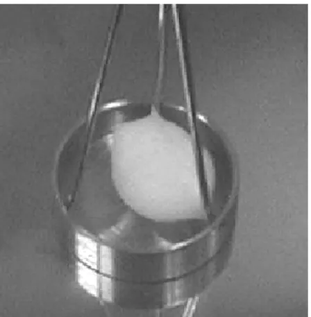 Figure 3: Aspect of the copolymer after depressurization 