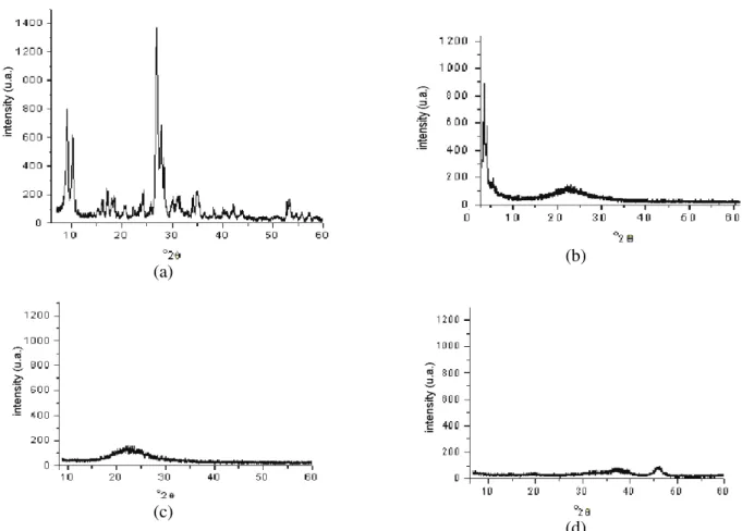 Figure 2: Nitrogen adsorption isotherms for the stationary phases employed in this work