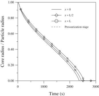 Figure 3: Profiles for pore concentration in the  extraction stage at the inlet of the extractor generated 