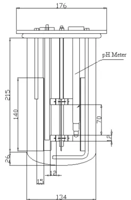 Figure 1: Diagrammatic representation of the bioreactor. (dimensions in mm.) 