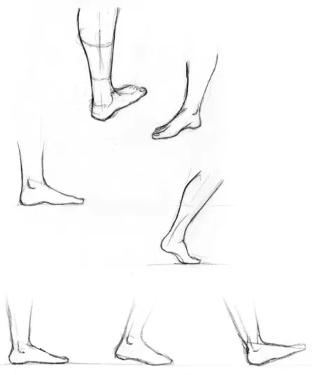 Figura 21 | Exemplo de imagens que ilustram a constituição interna do pé e da  perna [y] [y] [y] [y]