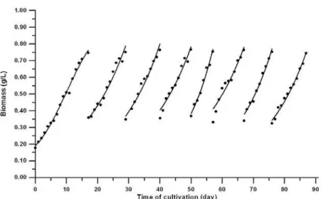 Figure 2: Biomass concentration as a function of cultivation time for Spirulina platensis strain LEB-52