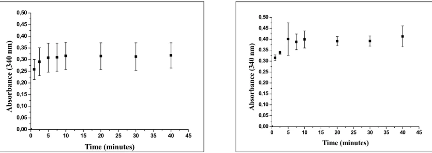 Figure 5: Absorbance profiles at 340 nm along time during liposome formation by hydration of the dried  film lipid adsorbed in the inner wall of the capillary glass tube