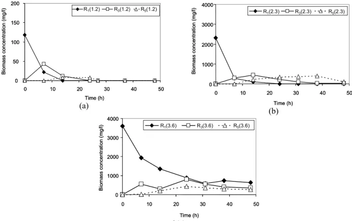 Figure 3: Biomass profiles in reactors R 1,  R 3  and R 5  for three fungal inoculum concengtrations under   transitory conditions in the reactor system
