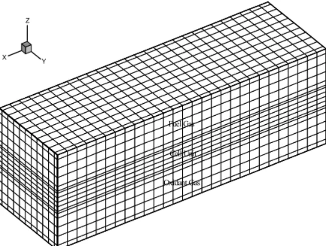 Figure 4: Three-dimensional computational grids 