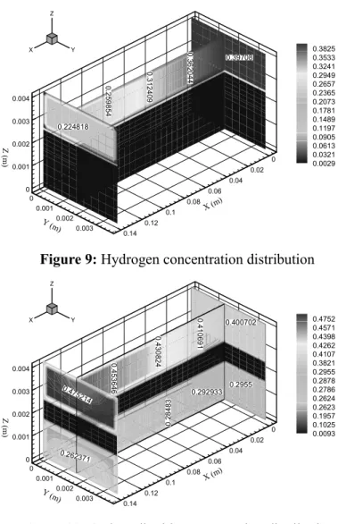 Figure 9: Hydrogen concentration distribution 