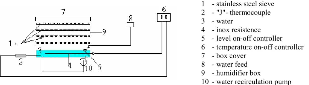 Figure 2: Experimental system – (a) scheme and sight of the bed filled with beans;  
