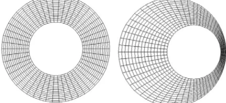 Figure 1: Cell distribution in the concentric and eccentric rings. 