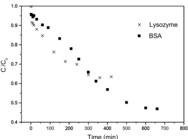 Figure 8: Adsorption kinetics of proteins on the glutaraldehyde-crosslinked   chitosan microspheres at pH 6 and 20°C