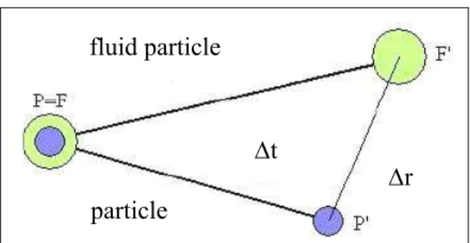 Figure 1: Solid and fluid particle trajectories  To describe turbulent particle dispersion in a 
