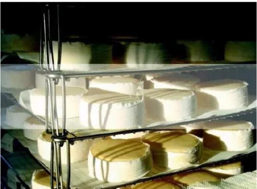Figura 10 – Fase de cura. Arrumação dos queijos em clés (http://fotos.sapo.pt) 