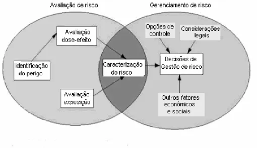 Figura 3.3 - Diagrama da avaliação e gerenciamento de risco (acesso Internet: 