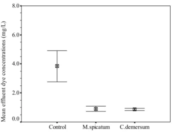 Figure 7: Effect of submersed plants on the dye removal capability of the wetland   system at an HRT of 6 days (Influent dye concentration: 11.0 mg/L) 