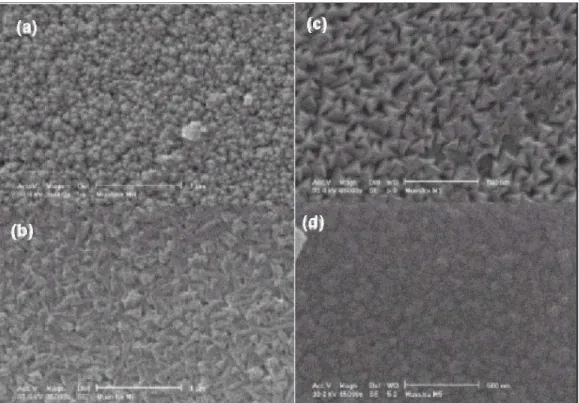 Figure 3: Electron scanning microscopy images of the surface of the samples, with a magnification   of 35,000 for (a) M1and (b) M2 and a magnification of 65,000 for (c) M3 and (d) M4