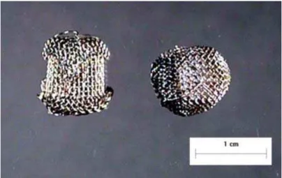 Figure 3:  Capsules of stainless steel screen, 42 mesh 