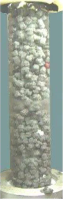 Figure 5: Fluidized bed of capsules during testing showing tracer particles 