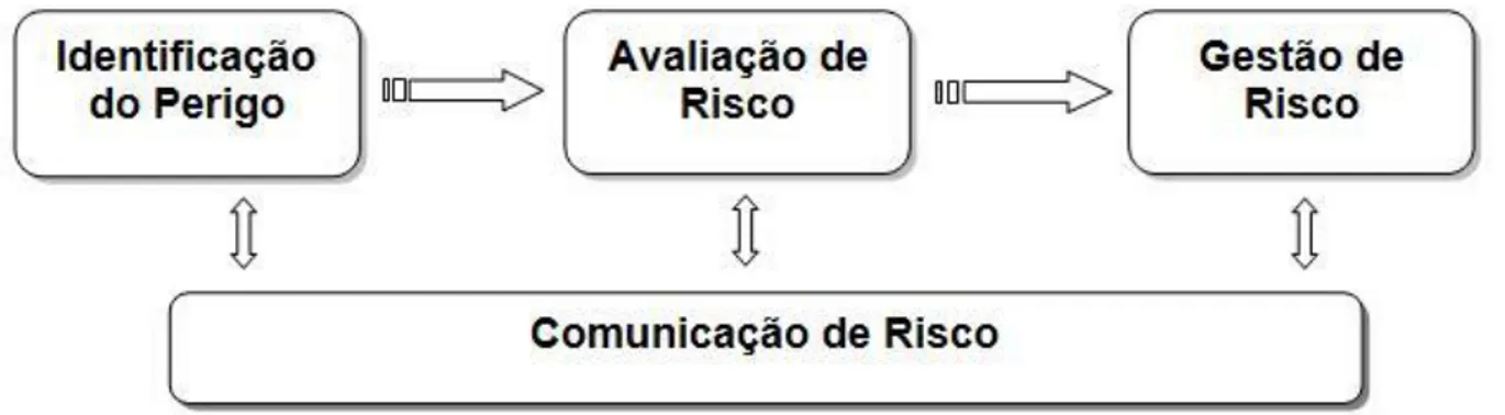 Figura 4 – Etapas da Análise de Risco (OIE, 2004a) 