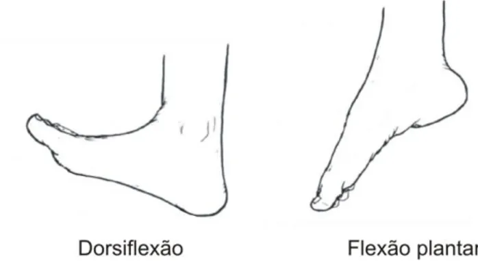 Fig. 8 – Exemplos de movimentos de flexão e extensão, respectivamente da esquerda para a direita,  para o pé