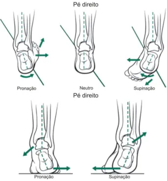 Fig.  14  –  Em  cima:  movimentos  de  pronação,  supinação  e  pé  neutro  quando  o  mesmo  está  sem  apoio; Em baixo: quando o pé está apoiado no chão a supinação e a pronação advêm da distribuição  do peso do corpo que actua sobre o astrágalo