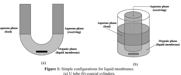 Figure 2: Supported liquid membrane. 