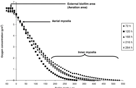Figure 4: A combination of averaged DO profiles in biofilm of P. chrysosporium   determined at different times during single capillary MGR operation