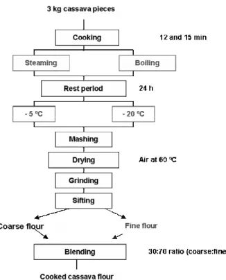 Figure 1:  Flow diagram of pilot plant processing of cooked cassava flour  Lubricated Compression Test  