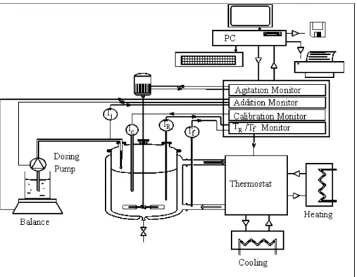 Figure 3: Diagram of the chemical reactor  Chemical Reactor Modeling 