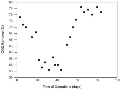 Figure 2: COD removal during the biomass acclimatization   period of wastewater in the batch reactor