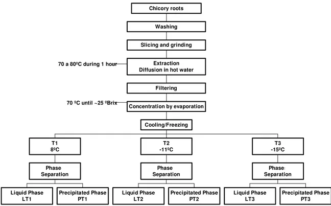 Figure 1: Inulin’s extraction and precipitation processes. 