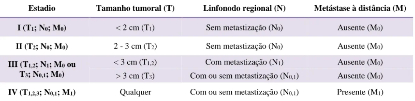 Tabela 1 – Estadiamento dos tumores mamários felinos (adaptado de Sorenmo, 2011a). 