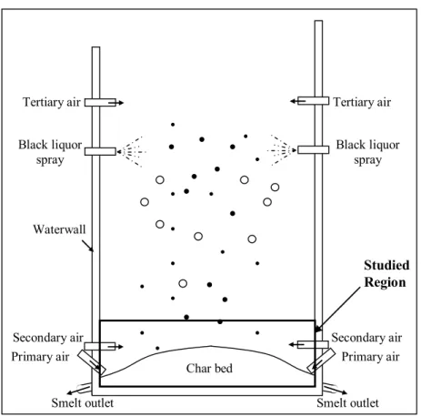 Figure 1: Burning process of black liquor in a typical recovery boiler   and identification of the studied region